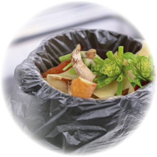 菌の繁殖しやすいキッチンの生ゴミに